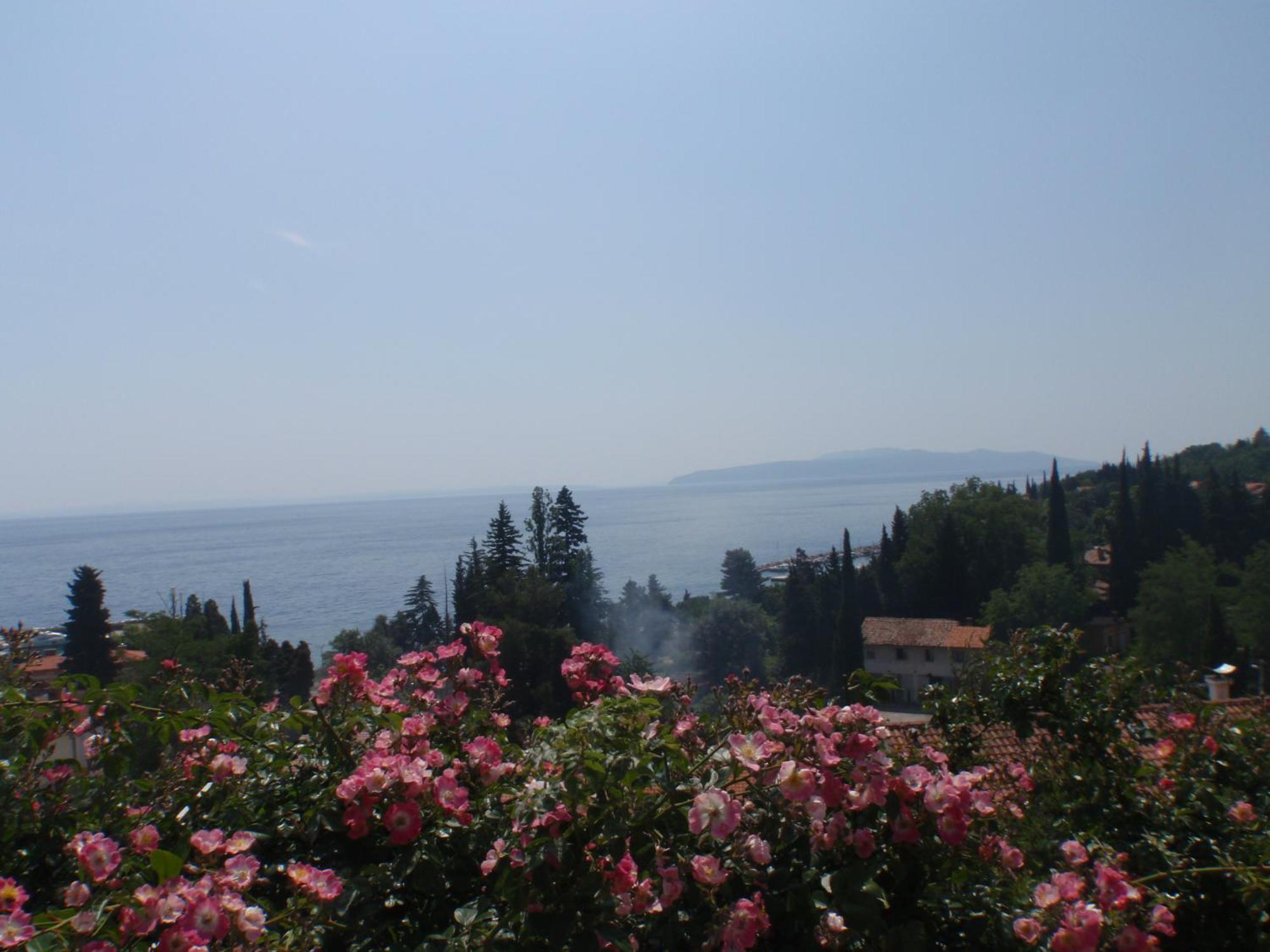 Villa Mihaela Ičići Kültér fotó